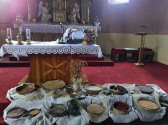 “ JESEŇ ŽIVOTA „