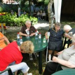 Letná opekačka v Rim. Sobote