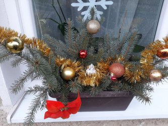 Deň svätého Mikuláša