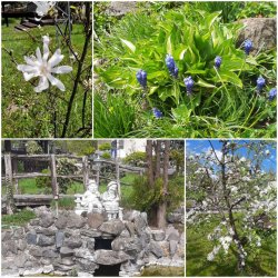 Vítanie mája, mesiaca mnohých tradícií a sviatkov