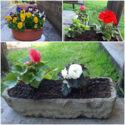 Vítanie mája, mesiaca mnohých tradícií a sviatkov