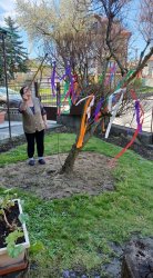 Máj, máj, máj, zelený....