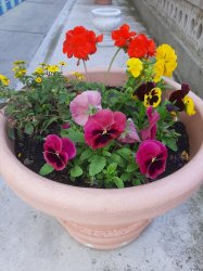 Máj, máj, máj, zelený....