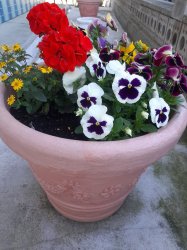 Máj, máj, máj, zelený....