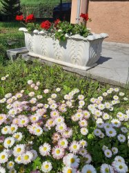 Máj, máj, máj, zelený....