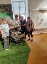 Návšteva Gemersko-malohontského múzea