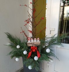 Mikuláš v zariadení pre seniorov