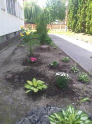 Sadenie kvietkov s deťmi