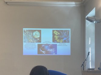 Školenie „Keď do života vstúpi demencia…“ – Banská Bystrica