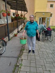 Jesenné upratovanie v areáli  zariadenia