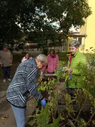 Jesenné upratovanie v areáli  zariadenia