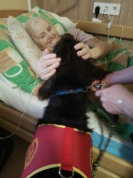 Canisterapia pre lepšiu pohodu