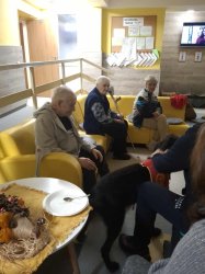 Canisterapia pre lepšiu pohodu