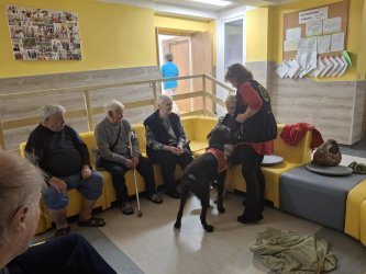 Canisterapia pre lepšiu pohodu