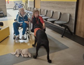 Canisterapia pre lepšiu pohodu