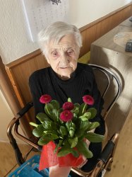 MDŽ 2025 - Nová Bašta