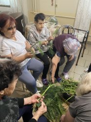 Liečivé rastliny a ich využitie- Nová Bašta