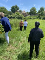 Liečivé rastliny a ich využitie- Nová Bašta