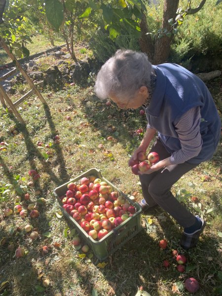 Babie leto plné vôní a chutí jesene v Novej Bašte