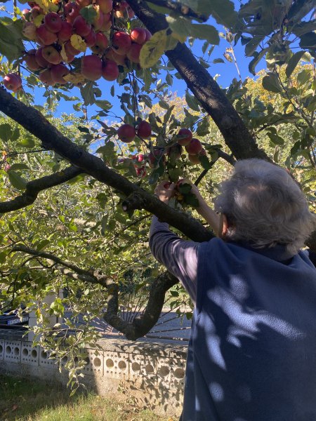 Babie leto plné vôní a chutí jesene v Novej Bašte