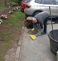 Radosť zo spoločnej práce: Klienti ZSS skrášľujú svoje prostredie výsadbou kvetov