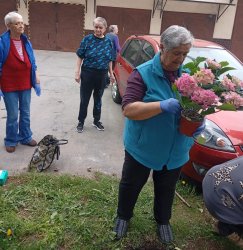Radosť zo spoločnej práce: Klienti ZSS skrášľujú svoje prostredie výsadbou kvetov