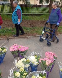 Radosť zo spoločnej práce: Klienti ZSS skrášľujú svoje prostredie výsadbou kvetov