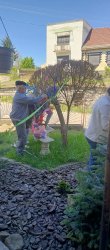 Stavanie mája spojené s oslavou narodenín - Nová Bašta
